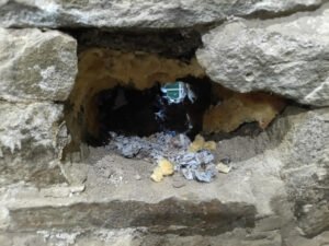 mouse hole