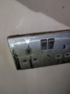 pxl 20241016 161000556