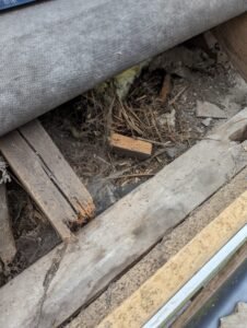rafter joist 2