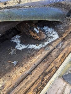 rotten plate3